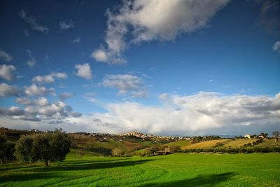 Scenic view of landscape against sky