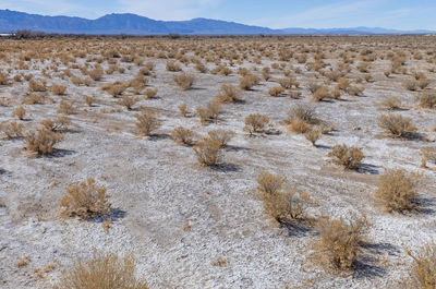 Salt flats in a desert valley in ash meadows national wildlife refuge in nevada