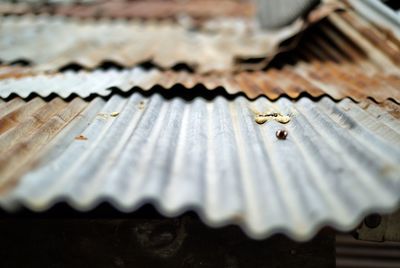 Close-up of rusty rooftop