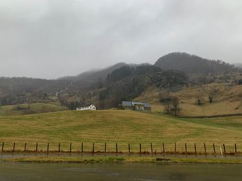 Scenic view of field against sky