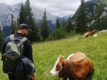 Rear view of man and dog on mountain