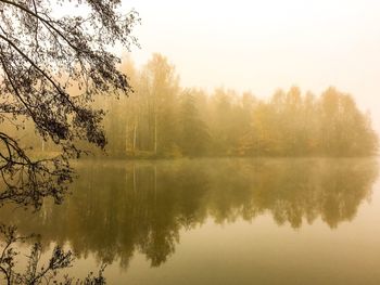 Reflection of trees in lake against sky