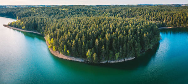 High angle view of plants by river