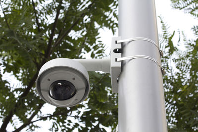 Security camera in a public park, for surveillance