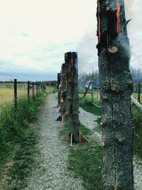 Wooden posts on field against sky