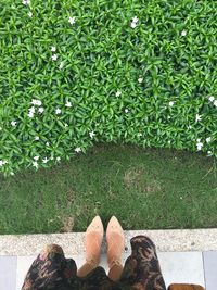 Low section of woman standing on grass