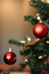 Close-up of christmas decorations hanging on tree