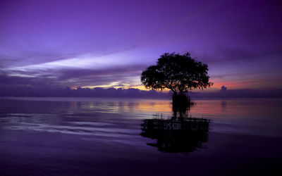 Silhouette tree by lake against sky at sunset