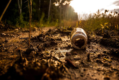 Surface level of abandoned milk bottle on field