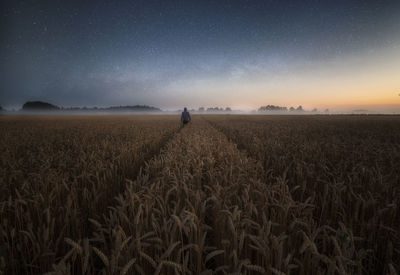 Rear view of man standing on agricultural field against starry sky at night