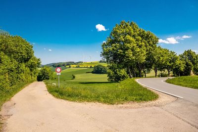 Road by trees against blue sky