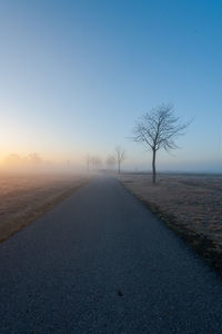 Road amidst bare trees against sky during sunset