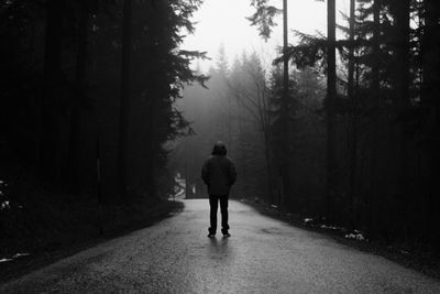 Rear view of man walking on road in forest