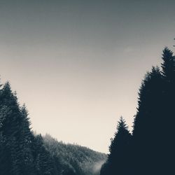 Scenic view of trees against clear sky