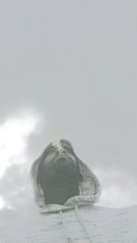 Close-up view of stone wall