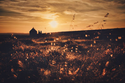 Scenic view of field against sky during sunset