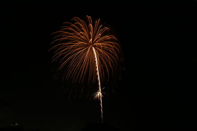 Low angle view of fireworks in sky at night