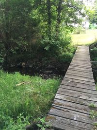 Walkway amidst trees