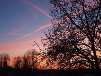 Low angle view of silhouette trees against sky at sunset