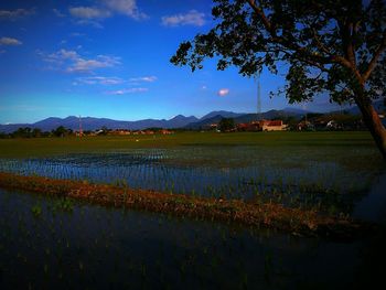 Scenic view of field by lake against sky