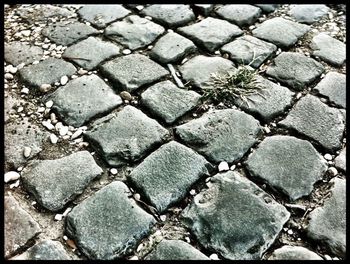 Full frame shot of tiled floor