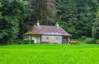 House on field by trees in forest