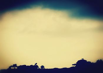 Low angle view of silhouette trees against sky during sunset