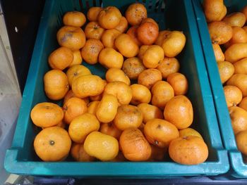 High angle view of fruits in container