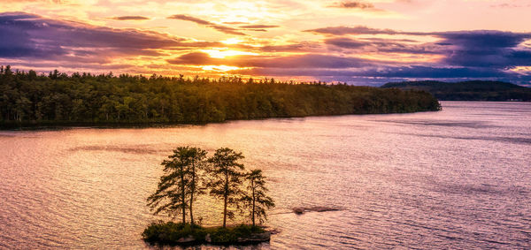 Scenic view of trees against sky during sunset