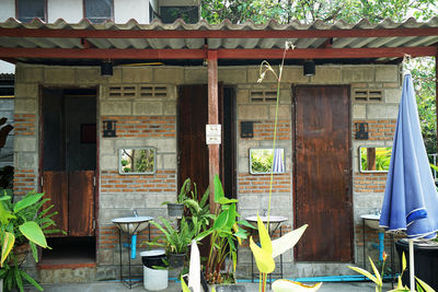 Potted plants on window of building