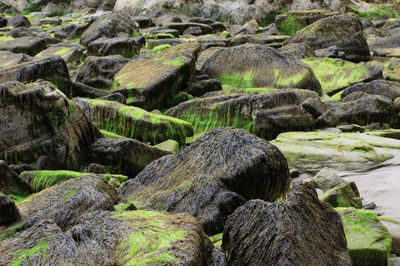 Scenic view of rocks in water