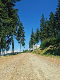 Road amidst trees against clear blue sky