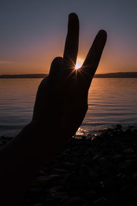 Cropped hand gesturing peace sign