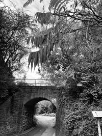 Low angle view of arch bridge