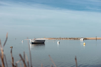 Sailboats moored in sea against sky