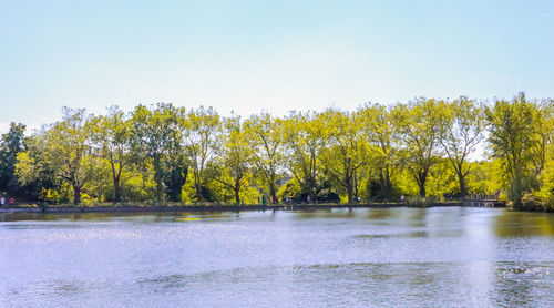 Scenic view of lake against clear sky