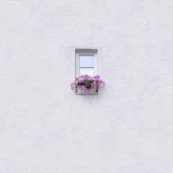 Single window on minimalistic wall