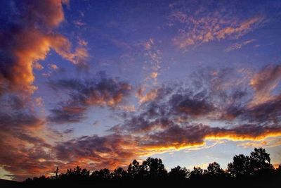 Silhouette of tree against cloudy sky