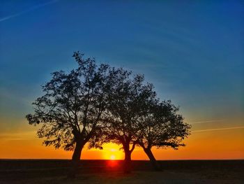 Silhouette tree by sea against clear sky during sunset