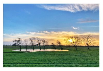 Scenic view of field against sky during sunset