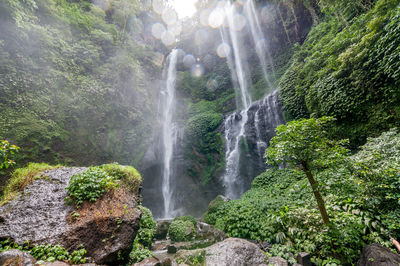 Low angle view of waterfall against trees