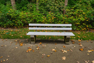 Empty bench in park