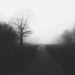 the way forward