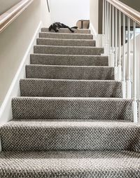 Low angle view of staircase with dog
