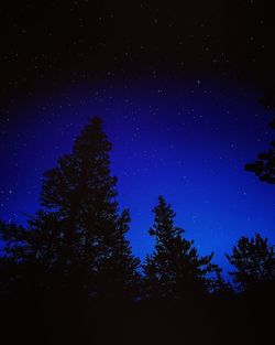 Low angle view of silhouette trees against star field at night