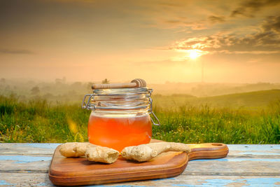 Ice cream in jar on tree against sky during sunset