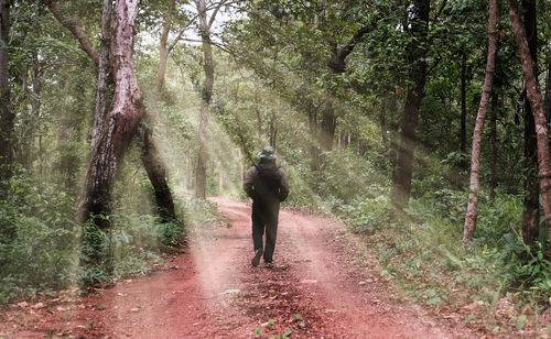 A man walking along a path inside a forest lit by a beautiful line of sunlight.