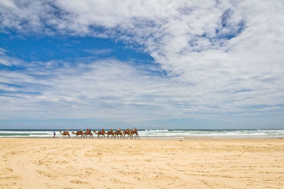 People on beach against sky