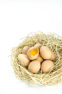 Close-up of eggs in basket