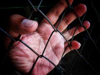 Close-up of hand holding chainlink fence